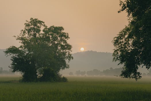 calm and peaceful nature scene